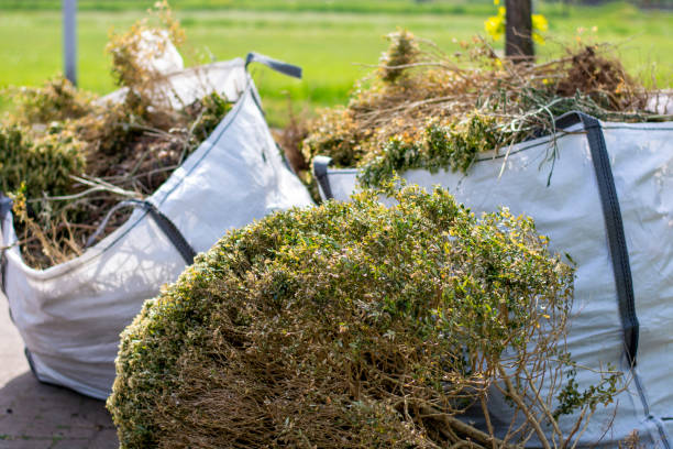 Basement Cleanout Services in Ness City, KS